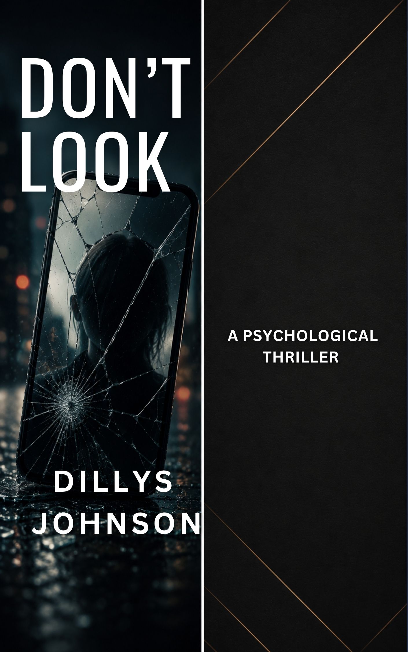 Don't Look book cover